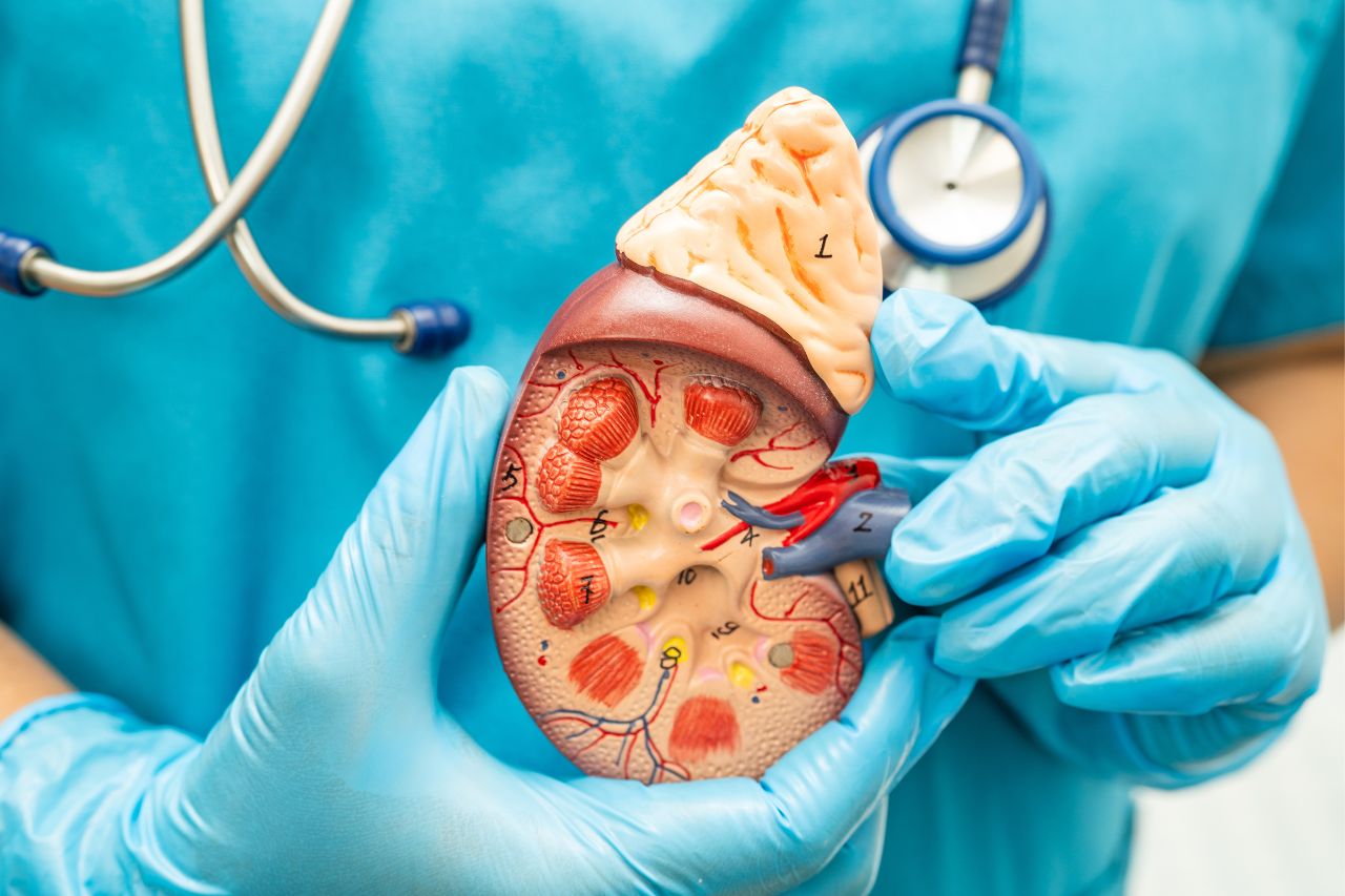 How Gastroenterologists Diagnose Common Digestive Conditions